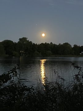 Måne som speiler seg i vannflaten