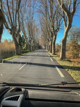 Utsikten utover en landevei